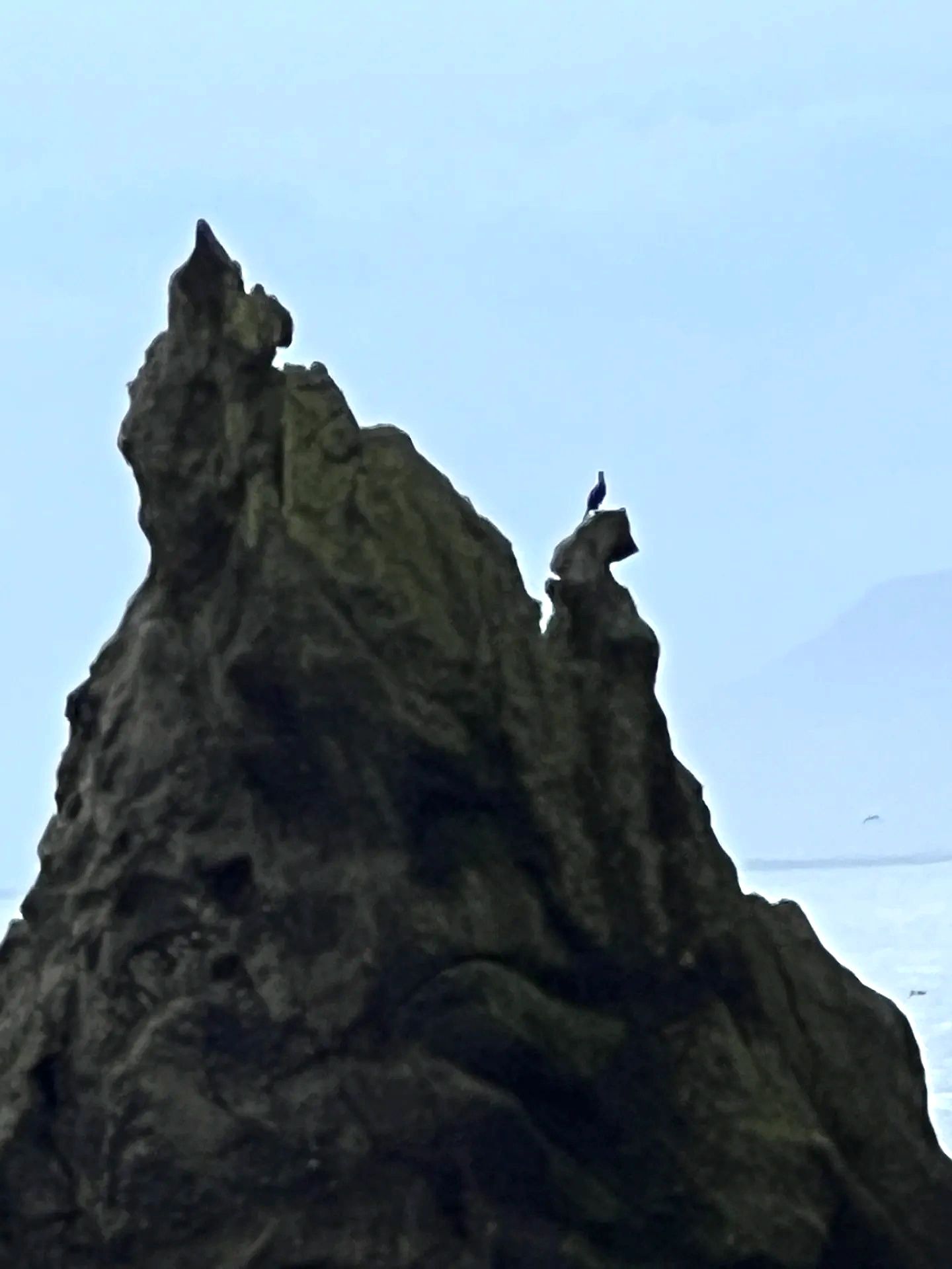 Dramatic coastal landscape
